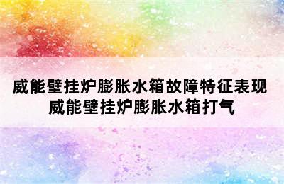 威能壁挂炉膨胀水箱故障特征表现 威能壁挂炉膨胀水箱打气